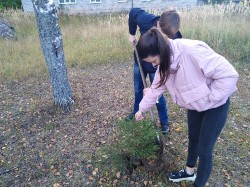 �����������